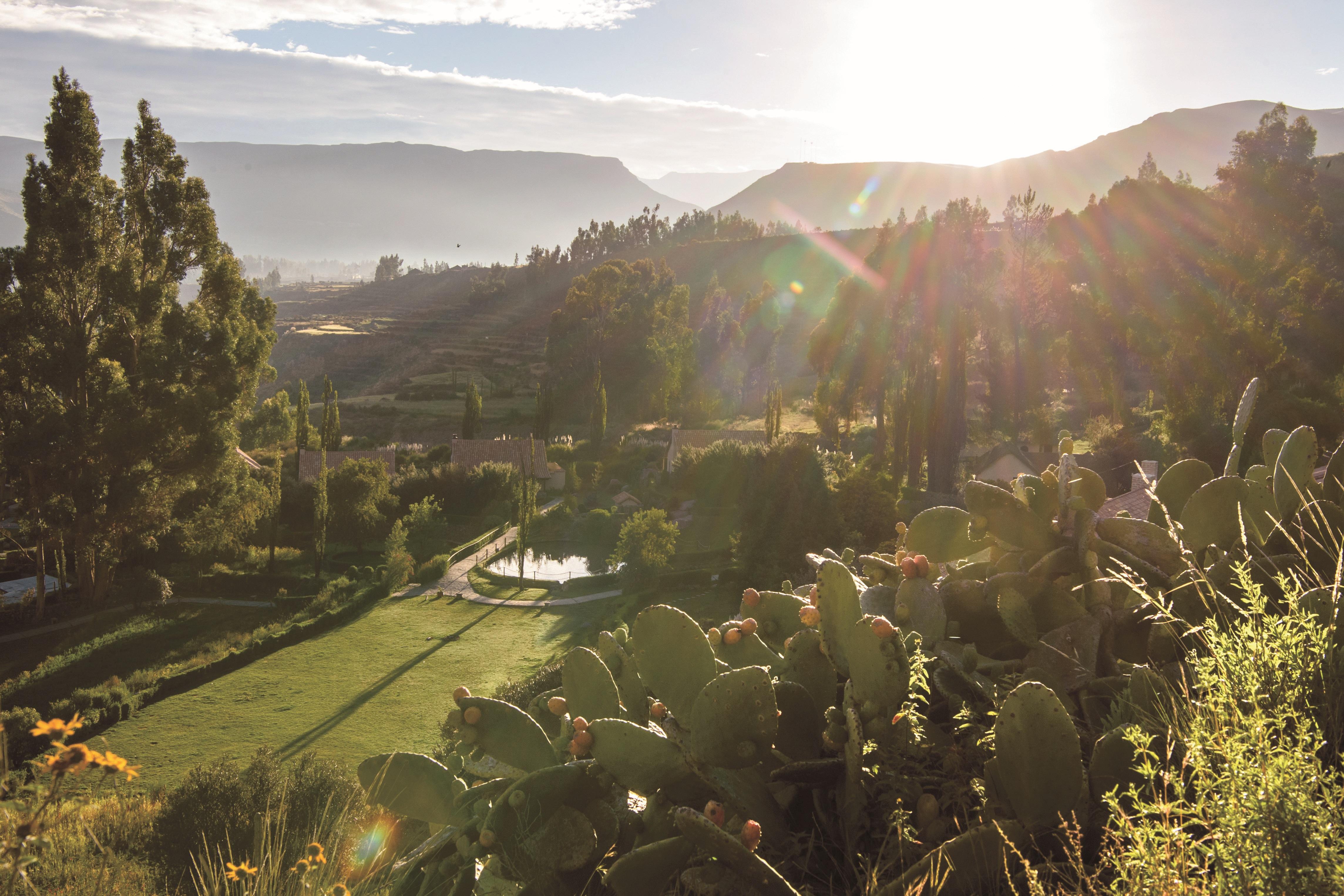 Las Casitas, A Belmond Hotel, Colca Canyon Yanque Eksteriør billede