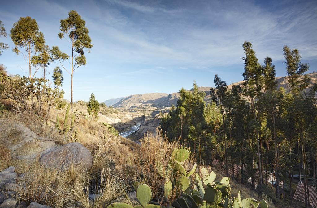 Las Casitas, A Belmond Hotel, Colca Canyon Yanque Eksteriør billede